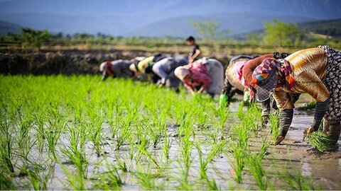 وام اشتغال روستایی ۵۰۰ میلیون شد