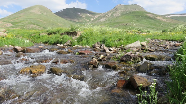 طبیعت زیبا ارشدچمن کندوان+فیلم