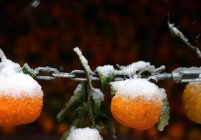 هواشناسی ایران ۱۴۰۲/۰۸/۱۴؛ بارش باران و برف در ۱۴ استان/ هشدار هواشناسی به کشاورزان