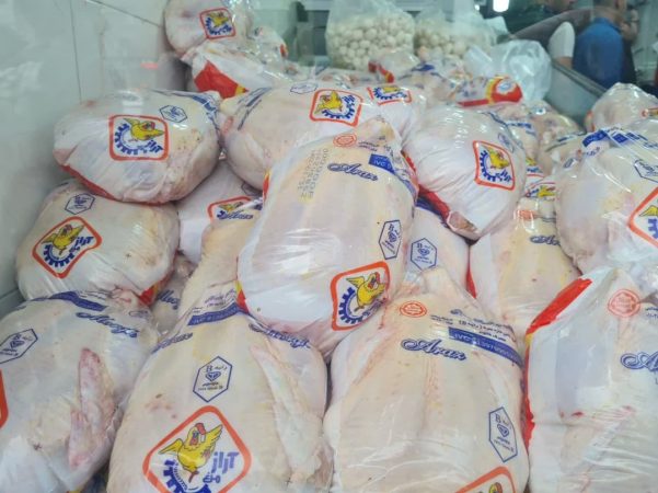 توزیع گسترده مرغ منجمد در آذربایجان‌شرقی تا تعادل قیمت‌ها در بازار