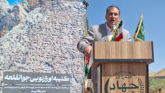 عجب‌شیر با ۳۲۰۰ هکتار باغ گردو آماده جهش در باغداری نوین
